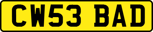 CW53BAD