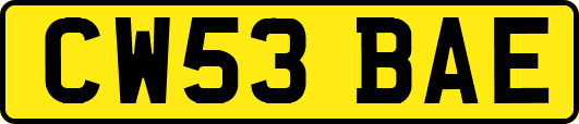 CW53BAE