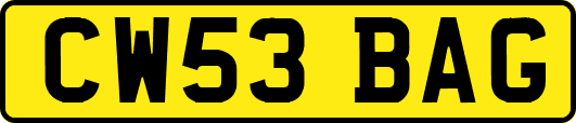 CW53BAG