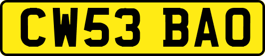 CW53BAO