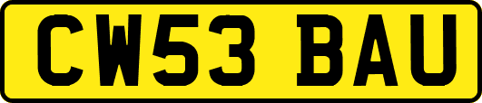 CW53BAU