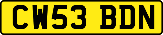 CW53BDN