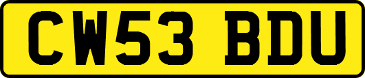 CW53BDU