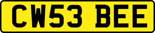CW53BEE