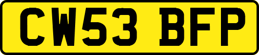 CW53BFP
