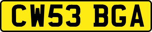 CW53BGA