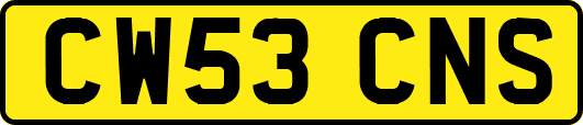 CW53CNS