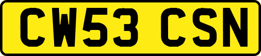 CW53CSN