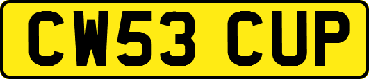 CW53CUP