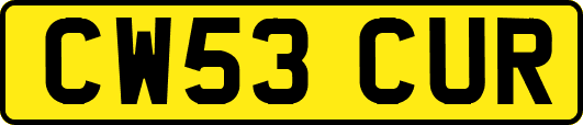 CW53CUR