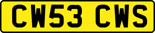 CW53CWS