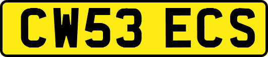 CW53ECS
