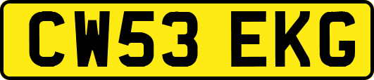CW53EKG