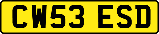 CW53ESD