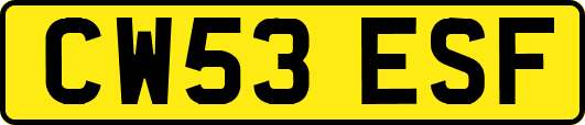 CW53ESF