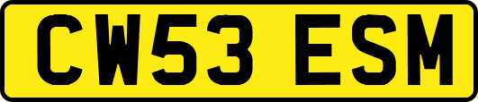 CW53ESM