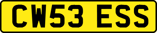 CW53ESS