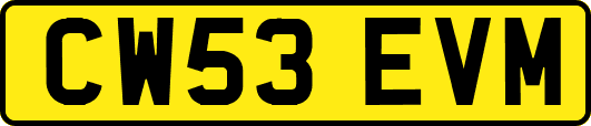 CW53EVM