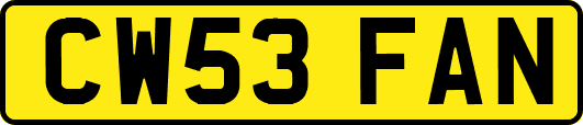 CW53FAN