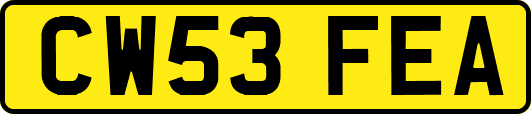 CW53FEA