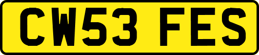 CW53FES