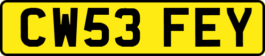 CW53FEY
