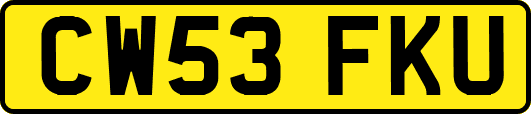 CW53FKU