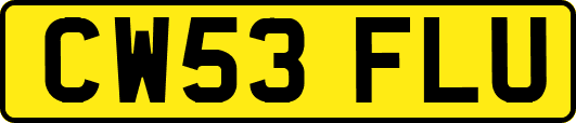 CW53FLU