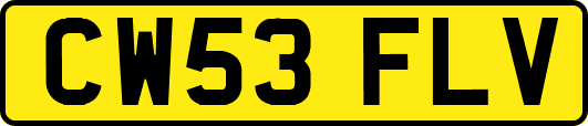 CW53FLV