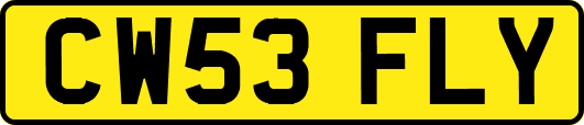 CW53FLY