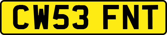 CW53FNT
