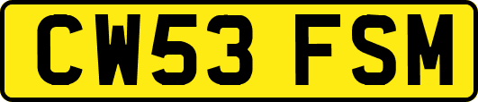CW53FSM