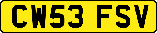 CW53FSV