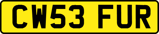 CW53FUR