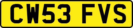 CW53FVS