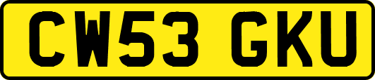 CW53GKU