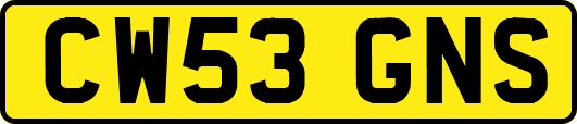 CW53GNS