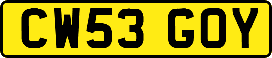 CW53GOY