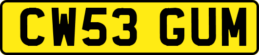 CW53GUM