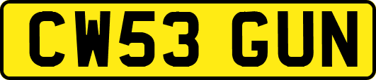 CW53GUN
