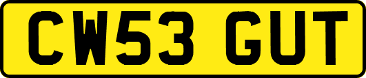 CW53GUT