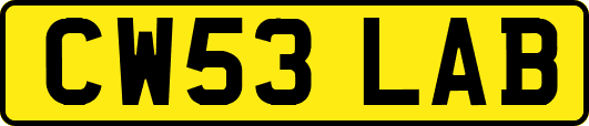 CW53LAB