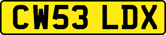 CW53LDX