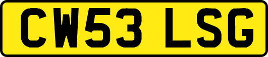 CW53LSG