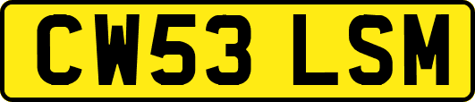 CW53LSM