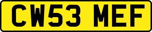CW53MEF