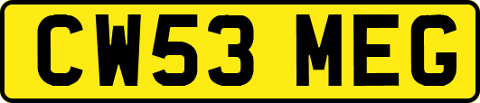 CW53MEG