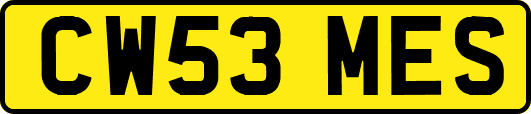 CW53MES