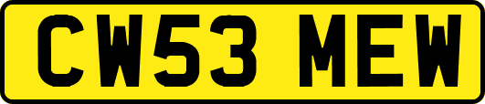CW53MEW
