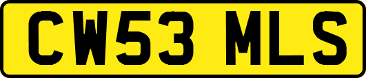 CW53MLS